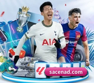 五个功能入口,赛程查询路径更短 - 多运动项目内容板块